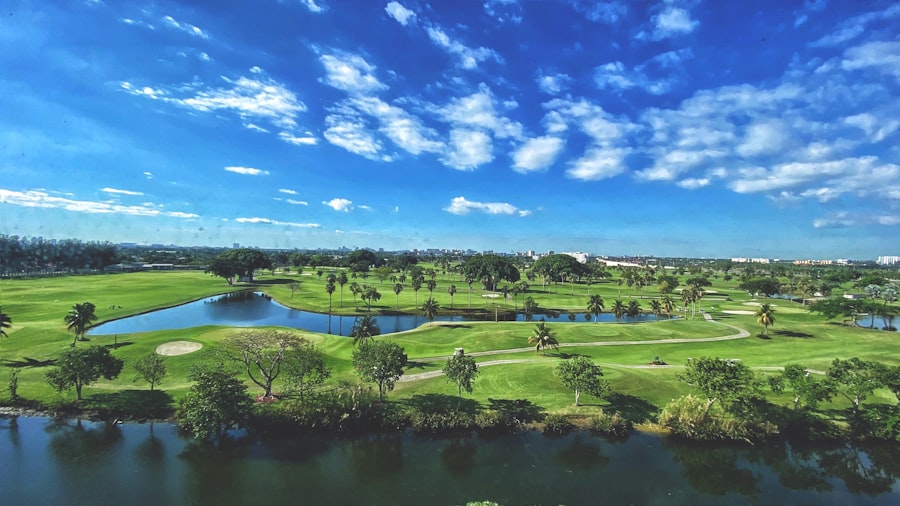 Florida championship golf course with palms and water hazards